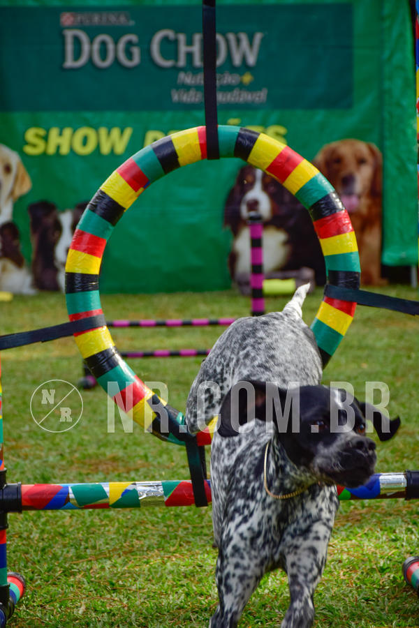 Buy your photos of the eventNR1 - Cl�ssico de 21 a 24/06/18 on Fotop