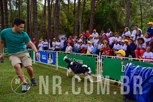 Buy your photos of the eventNR1 - Cl�ssico de 21 a 24/06/18 on Fotop