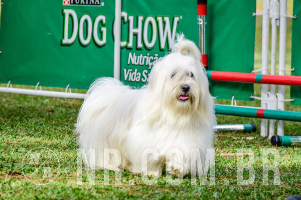 Buy your photos of the eventNR1 - Cl�ssico de 21 a 24/06/18 on Fotop