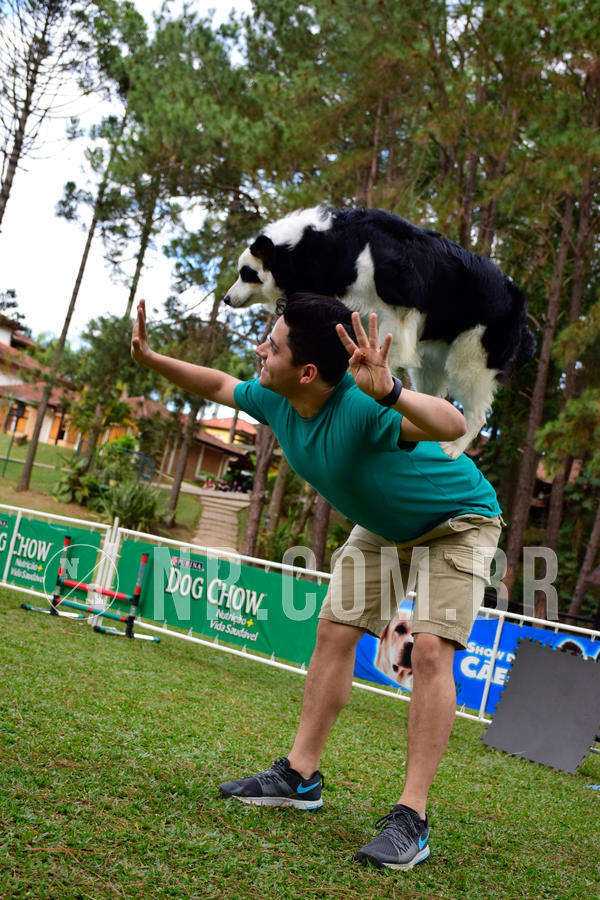 Buy your photos of the eventNR1 - Cl�ssico de 21 a 24/06/18 on Fotop