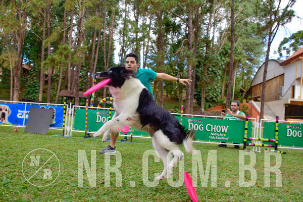 Buy your photos of the eventNR1 - Cl�ssico de 21 a 24/06/18 on Fotop