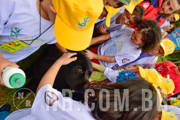 Buy your photos of the eventNR1 - Cl�ssico de 21 a 24/06/18 on Fotop