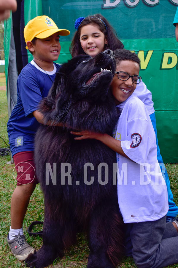 Buy your photos of the eventNR1 - Cl�ssico de 21 a 24/06/18 on Fotop