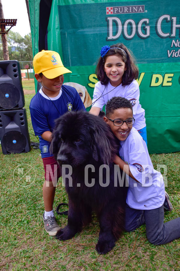 Buy your photos of the eventNR1 - Cl�ssico de 21 a 24/06/18 on Fotop