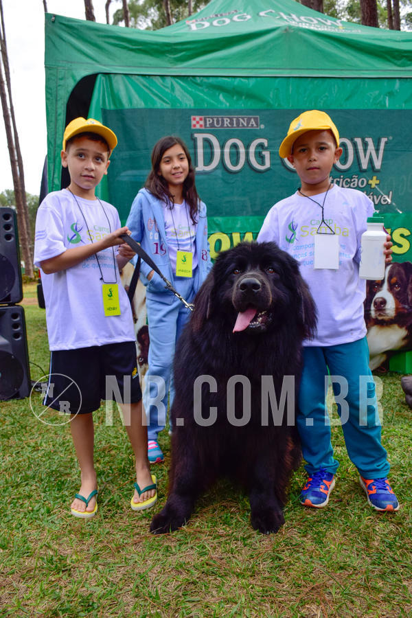 Buy your photos of the eventNR1 - Cl�ssico de 21 a 24/06/18 on Fotop