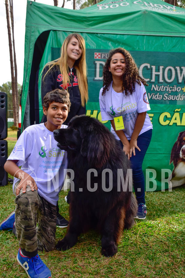 Buy your photos of the eventNR1 - Cl�ssico de 21 a 24/06/18 on Fotop