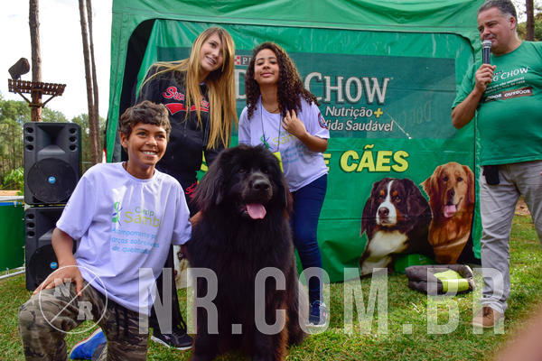 Buy your photos of the eventNR1 - Cl�ssico de 21 a 24/06/18 on Fotop