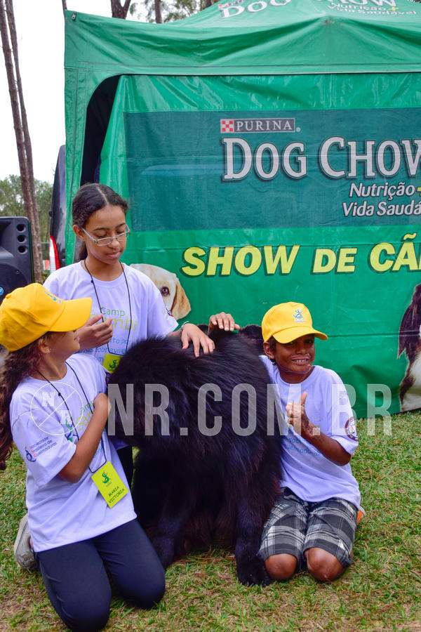Buy your photos of the eventNR1 - Cl�ssico de 21 a 24/06/18 on Fotop