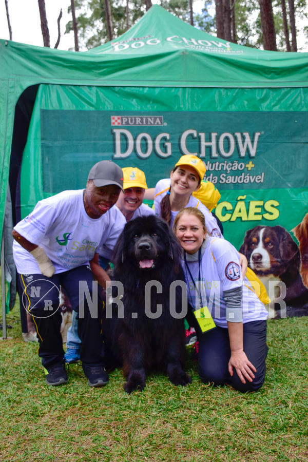 Buy your photos of the eventNR1 - Cl�ssico de 21 a 24/06/18 on Fotop