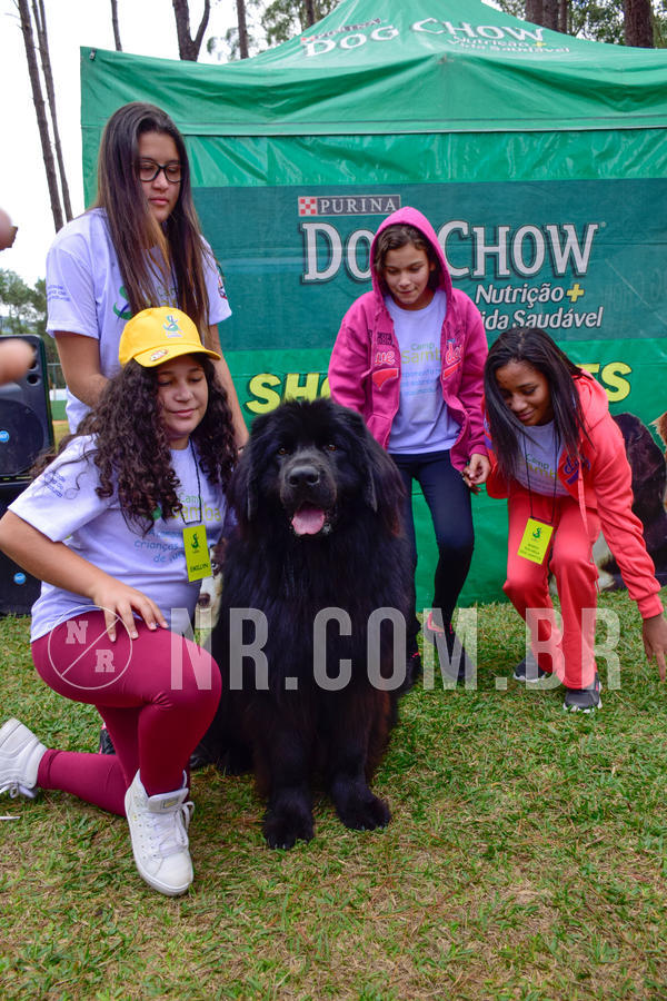 Buy your photos of the eventNR1 - Cl�ssico de 21 a 24/06/18 on Fotop