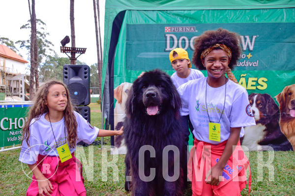 Buy your photos of the eventNR1 - Cl�ssico de 21 a 24/06/18 on Fotop