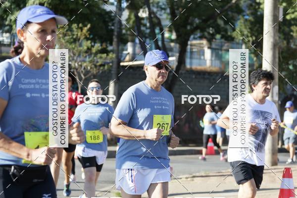 Buy your photos of the eventVII Corrida Fenae do Pessoal da Caixa on Fotop