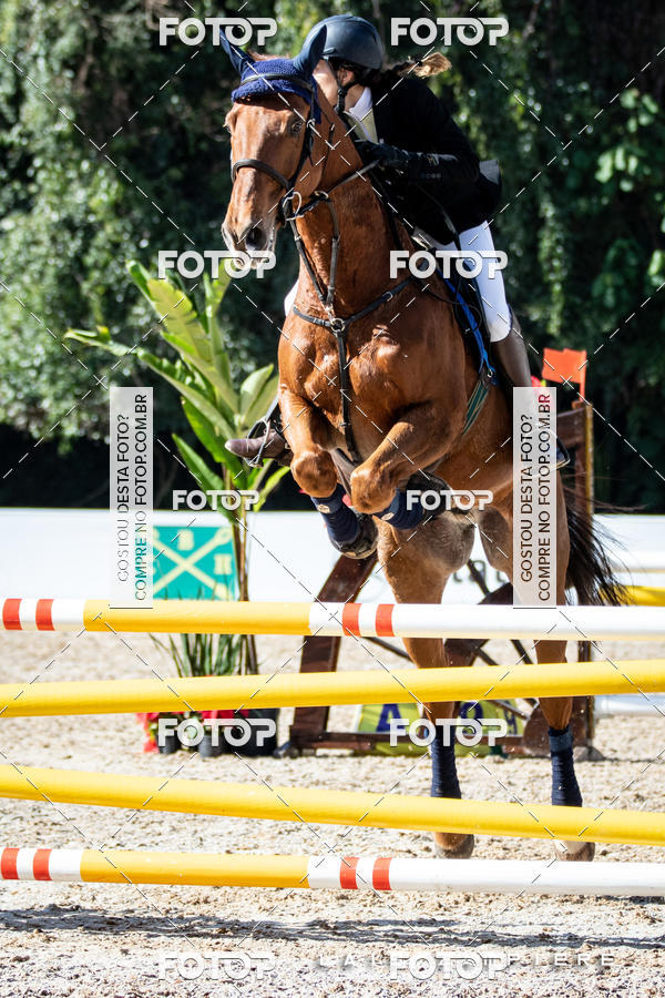 Buy your photos of the eventHipismo / Paulist�o 2018 - AMADOR B 1,00 m on Fotop