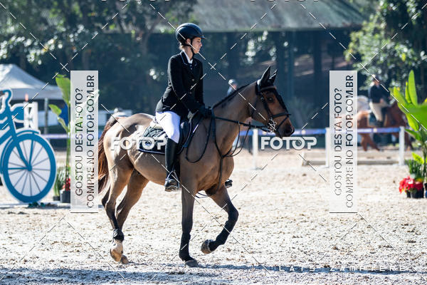 Buy your photos of the eventHipismo / Paulist�o 2018 - AMADOR B 1,00 m on Fotop