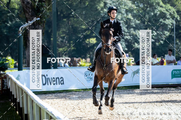 Buy your photos of the eventHipismo / Paulist�o 2018 - AMADOR B 1,00 m on Fotop