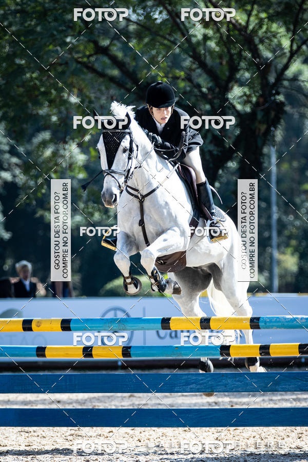 Buy your photos of the eventHipismo / Paulist�o 2018 - AMADOR B 1,00 m on Fotop