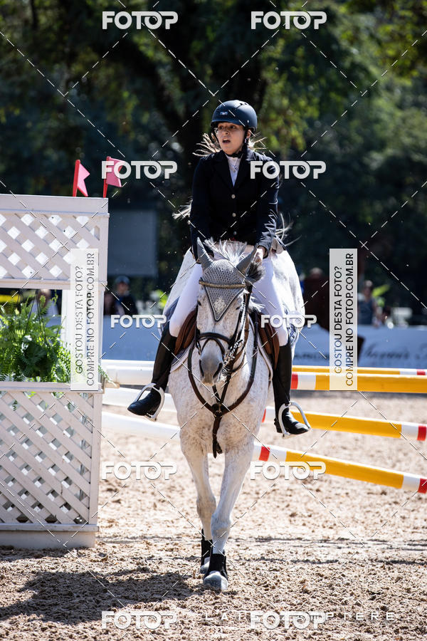 Buy your photos of the eventHipismo / Paulisto 2018 - AMADOR B 1,00 m on Fotop