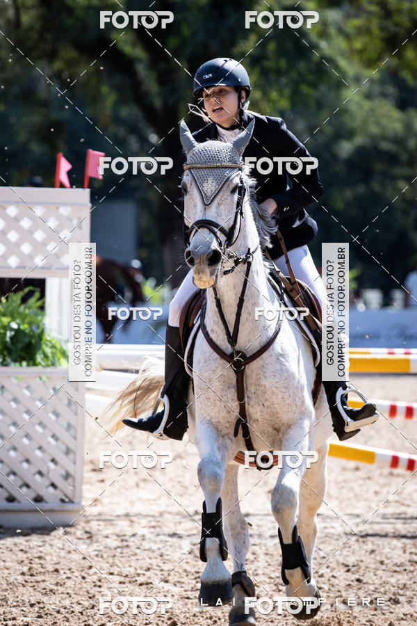 Buy your photos of the eventHipismo / Paulisto 2018 - AMADOR B 1,00 m on Fotop