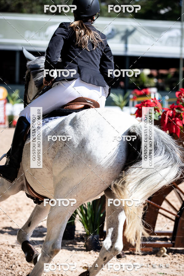 Buy your photos of the eventHipismo / Paulisto 2018 - AMADOR B 1,00 m on Fotop