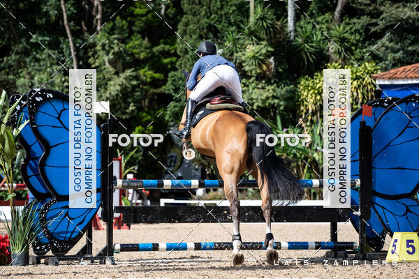 Buy your photos of the eventHipismo / Paulist�o 2018 - AMADOR B 1,00 m on Fotop