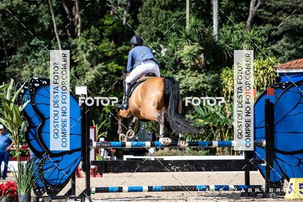 Buy your photos of the eventHipismo / Paulist�o 2018 - AMADOR B 1,00 m on Fotop