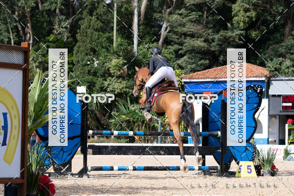 Buy your photos of the eventHipismo / Paulist�o 2018 - AMADOR B 1,00 m on Fotop