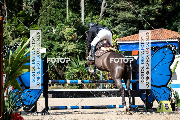 Buy your photos of the eventHipismo / Paulist�o 2018 - AMADOR B 1,00 m on Fotop