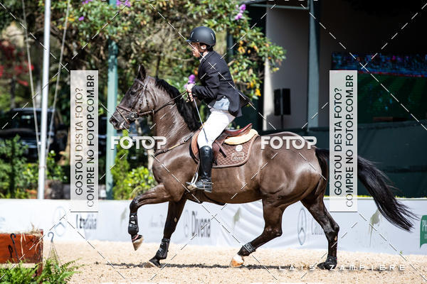 Buy your photos of the eventHipismo / Paulist�o 2018 - AMADOR B 1,00 m on Fotop