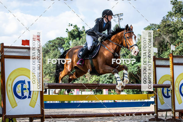 Buy your photos of the eventHipismo / Paulist�o 2018 - AMADOR B 1,00 m on Fotop