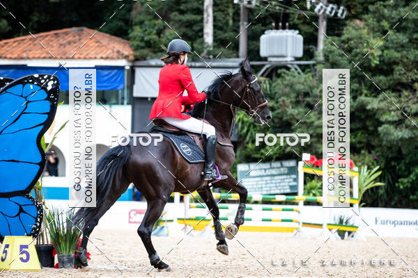 Buy your photos of the eventHipismo / Paulist�o 2018 - AMADOR B 1,00 m on Fotop