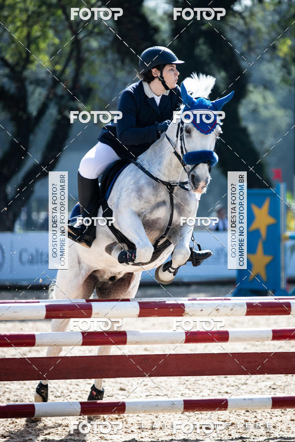 Buy your photos of the eventHipismo / Paulist�o 2018 - AMADOR B 1,00 m on Fotop