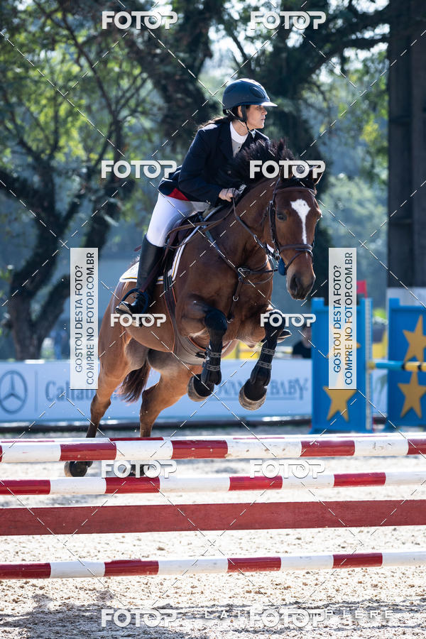 Buy your photos of the eventHipismo / Paulist�o 2018 - AMADOR B 1,00 m on Fotop