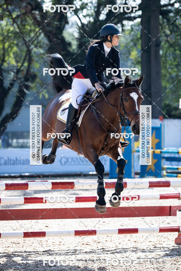 Buy your photos of the eventHipismo / Paulist�o 2018 - AMADOR B 1,00 m on Fotop