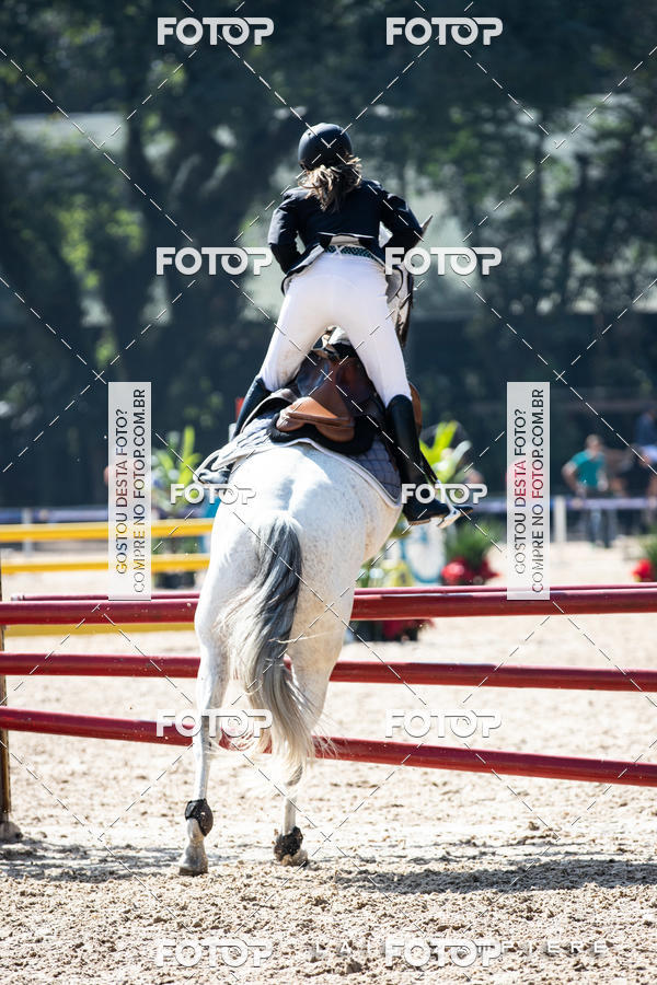 Buy your photos of the eventHipismo / Paulist�o 2018 - AMADOR B 1,00 m on Fotop