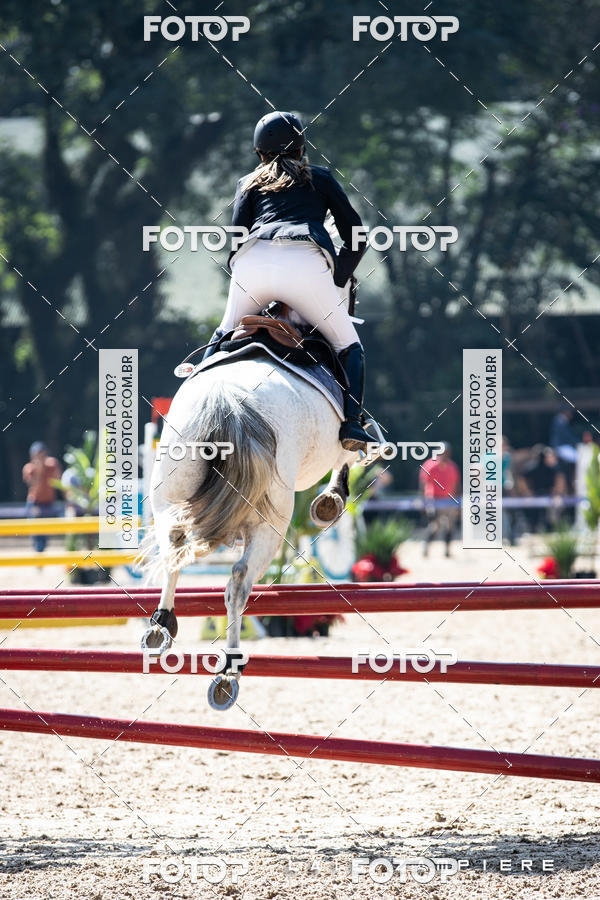 Buy your photos of the eventHipismo / Paulist�o 2018 - AMADOR B 1,00 m on Fotop