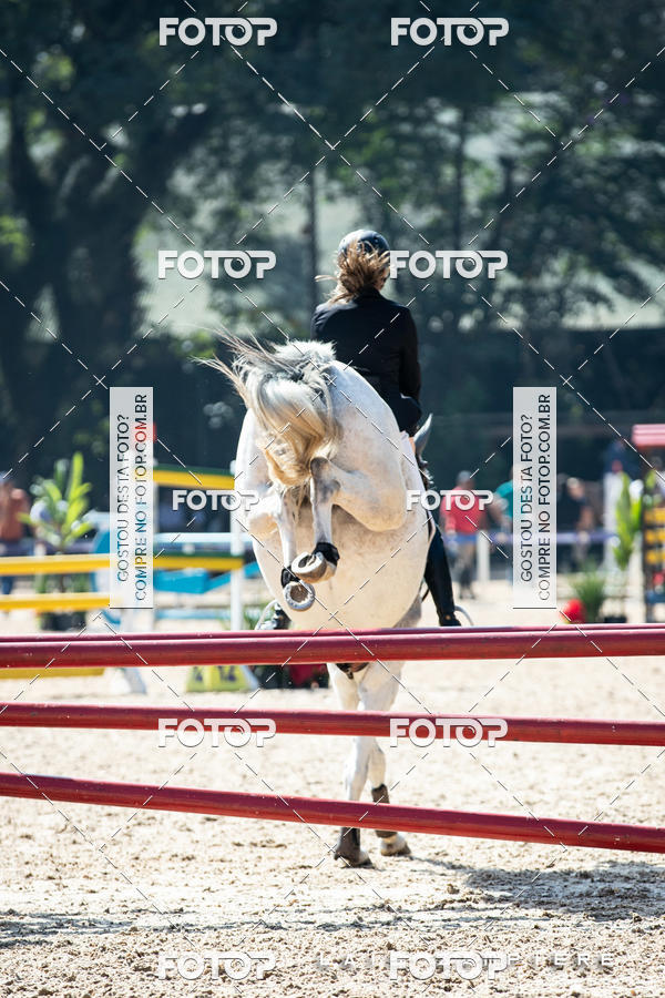 Buy your photos of the eventHipismo / Paulist�o 2018 - AMADOR B 1,00 m on Fotop