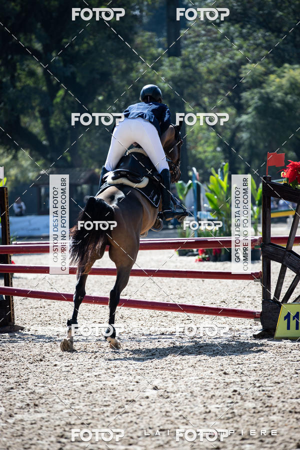 Buy your photos of the eventHipismo / Paulist�o 2018 - AMADOR B 1,00 m on Fotop