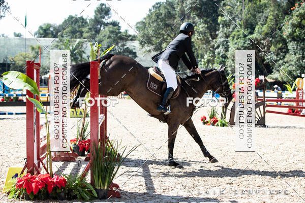 Buy your photos of the eventHipismo / Paulist�o 2018 - AMADOR B 1,00 m on Fotop