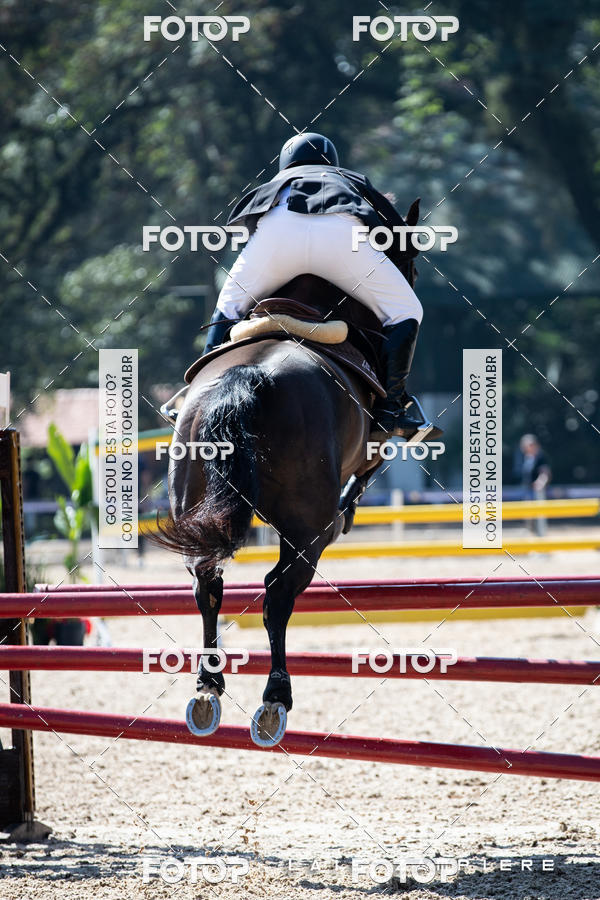 Buy your photos of the eventHipismo / Paulist�o 2018 - AMADOR B 1,00 m on Fotop