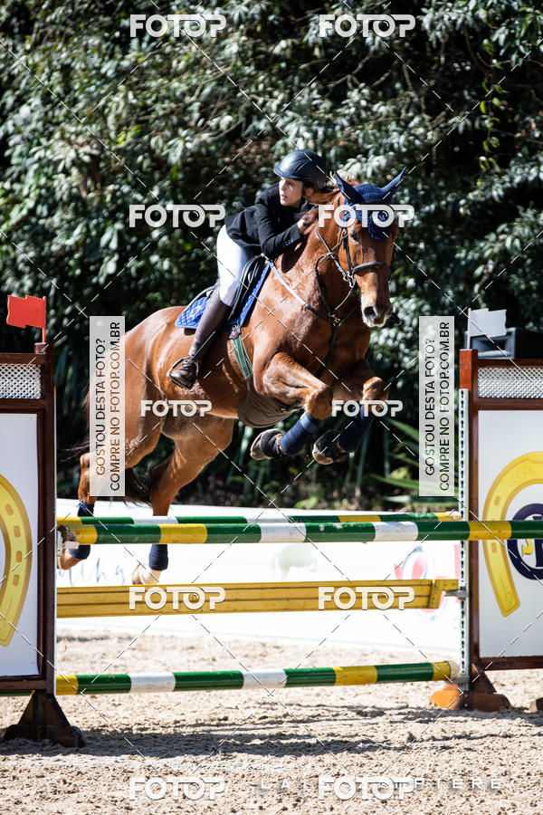 Buy your photos of the eventHipismo / Paulist�o 2018 - AMADOR B 1,00 m on Fotop