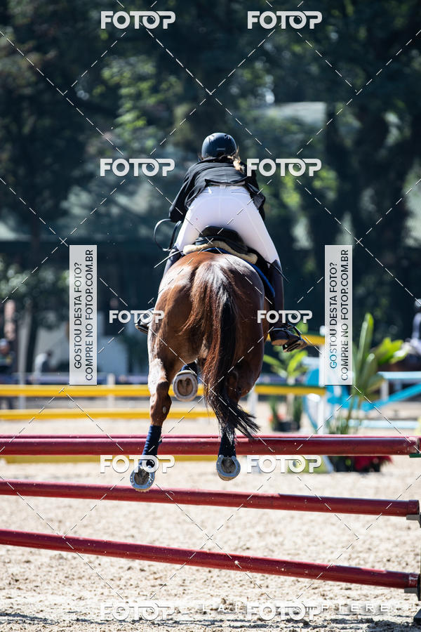 Buy your photos of the eventHipismo / Paulist�o 2018 - AMADOR B 1,00 m on Fotop