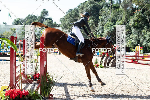 Buy your photos of the eventHipismo / Paulist�o 2018 - AMADOR B 1,00 m on Fotop