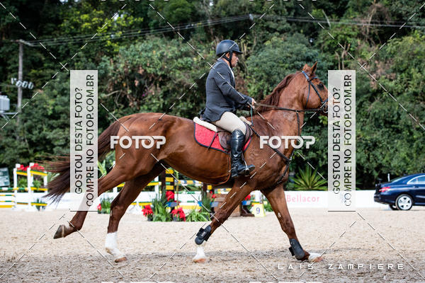 Buy your photos of the eventHipismo / Paulist�o 2018 - AMADOR B 1,00 m on Fotop