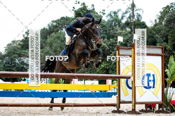 Buy your photos of the eventHipismo / Paulisto 2018 - AMADOR B 1,00 m on Fotop