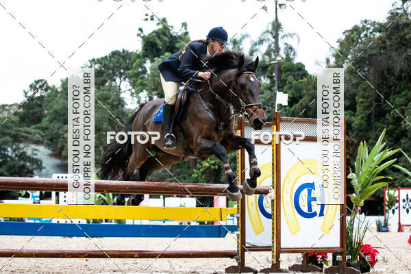 Buy your photos of the eventHipismo / Paulisto 2018 - AMADOR B 1,00 m on Fotop