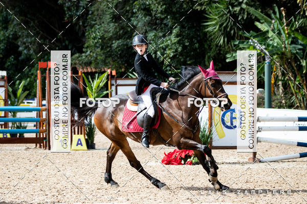 Buy your photos of the eventHipismo / Paulisto 2018 - MINI-MIRIM 1,00 m on Fotop