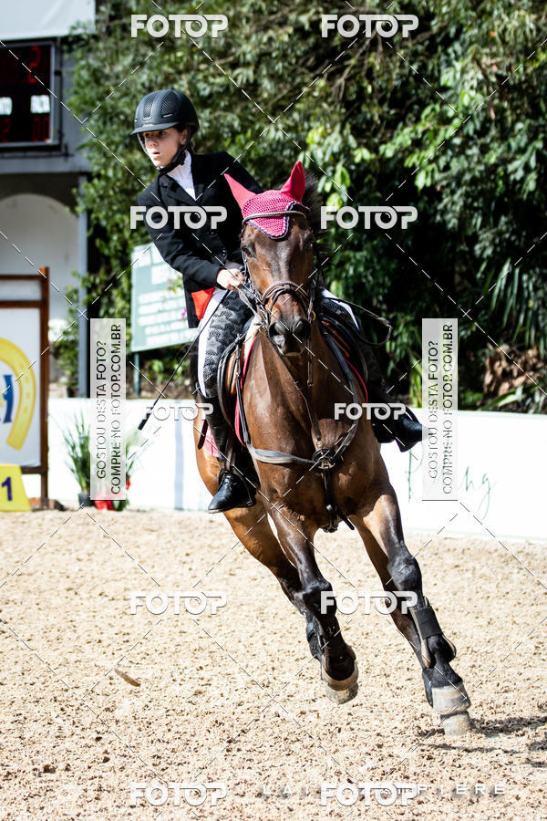 Buy your photos of the eventHipismo / Paulisto 2018 - MINI-MIRIM 1,00 m on Fotop