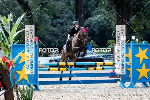 Buy your photos of the eventHipismo / Paulisto 2018 - MINI-MIRIM 1,00 m on Fotop