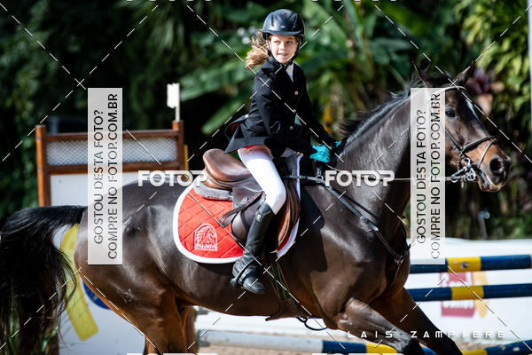 Buy your photos of the eventHipismo / Paulisto 2018 - MINI-MIRIM 1,00 m on Fotop