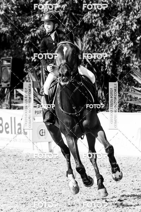 Buy your photos of the eventHipismo / Paulisto 2018 - MINI-MIRIM 1,00 m on Fotop